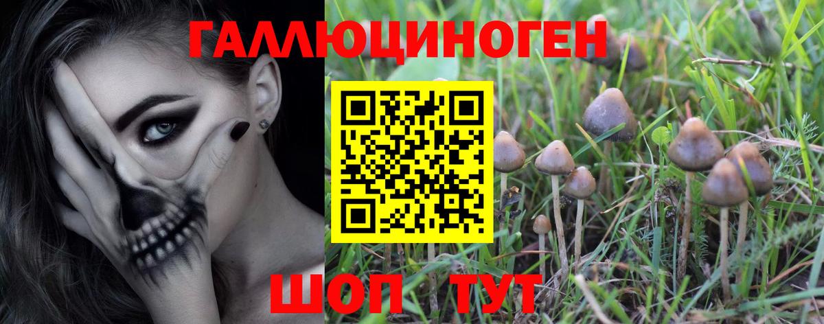 Галлюциногенные грибы Psilocybe  Вход с VPN  Уссурийск  Псилоцибиновые грибы Magic Shrooms 